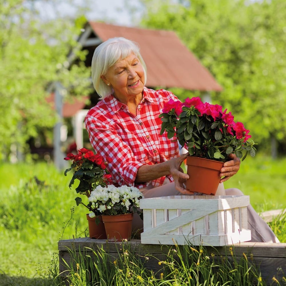 Дополнительный  доход на пенсии