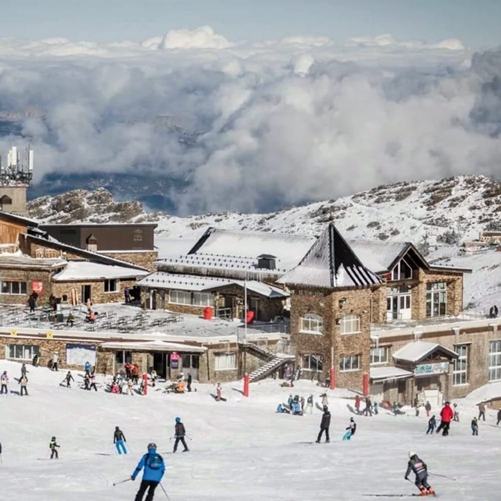 Снежные приключения