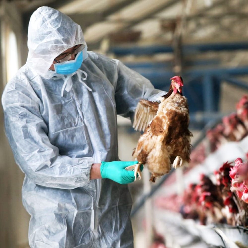 Вирусные угрозы 2026 года